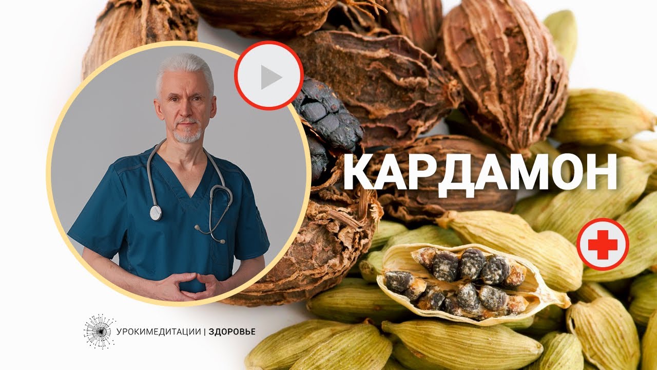 КАРДАМОН: раскрываем секреты