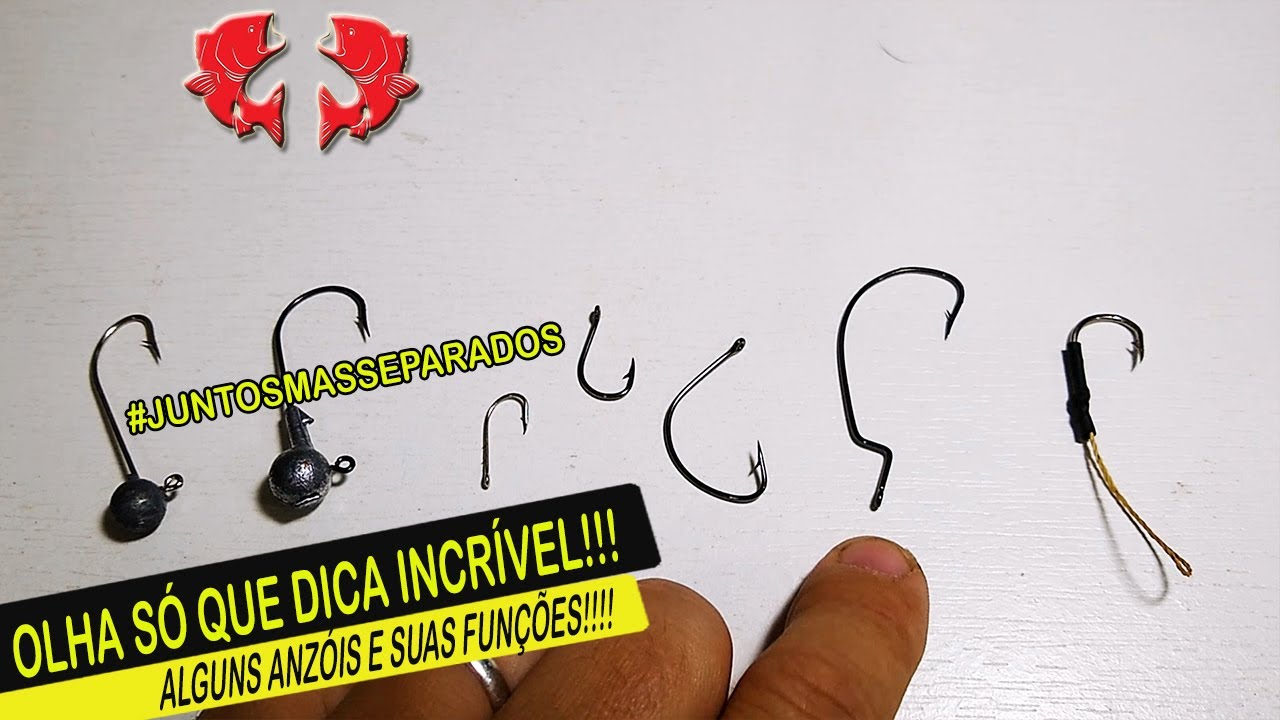 OLHA S&Oacute; ESTA!!! DICA INCR&Iacute;VEL CONHE&Ccedil;A ALGUNS TIPOS DE ANZ&Oacute;IS E SUAS FUN&Ccedil;&Otilde;ES | Dicas e Pescas