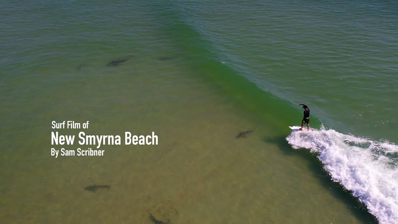 A Love Letter to NSB - Surf Edit