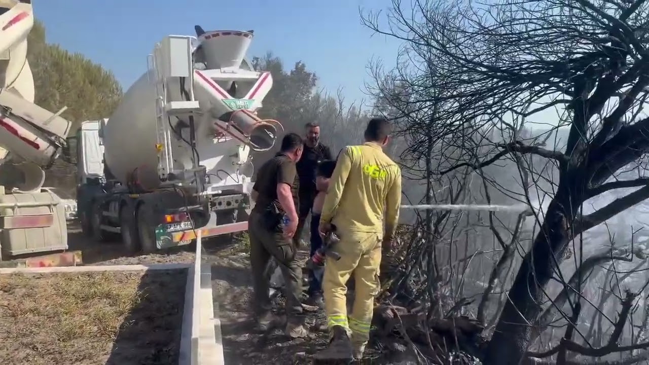 Zonguldak'ın Alaplı ilçesinde yangın..