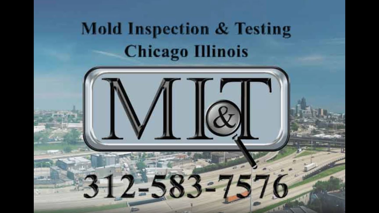 Mold Inspection & Testing Chicago