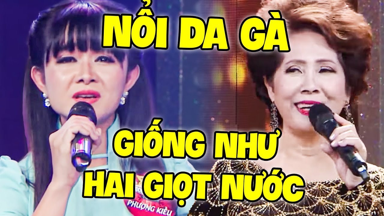 Thí sinh HÁT GIỐNG PHƯƠNG DUNG NHƯ HAI GIỌT NƯỚC khiến Danh Ca Phương Dung NỔI DA GÀ