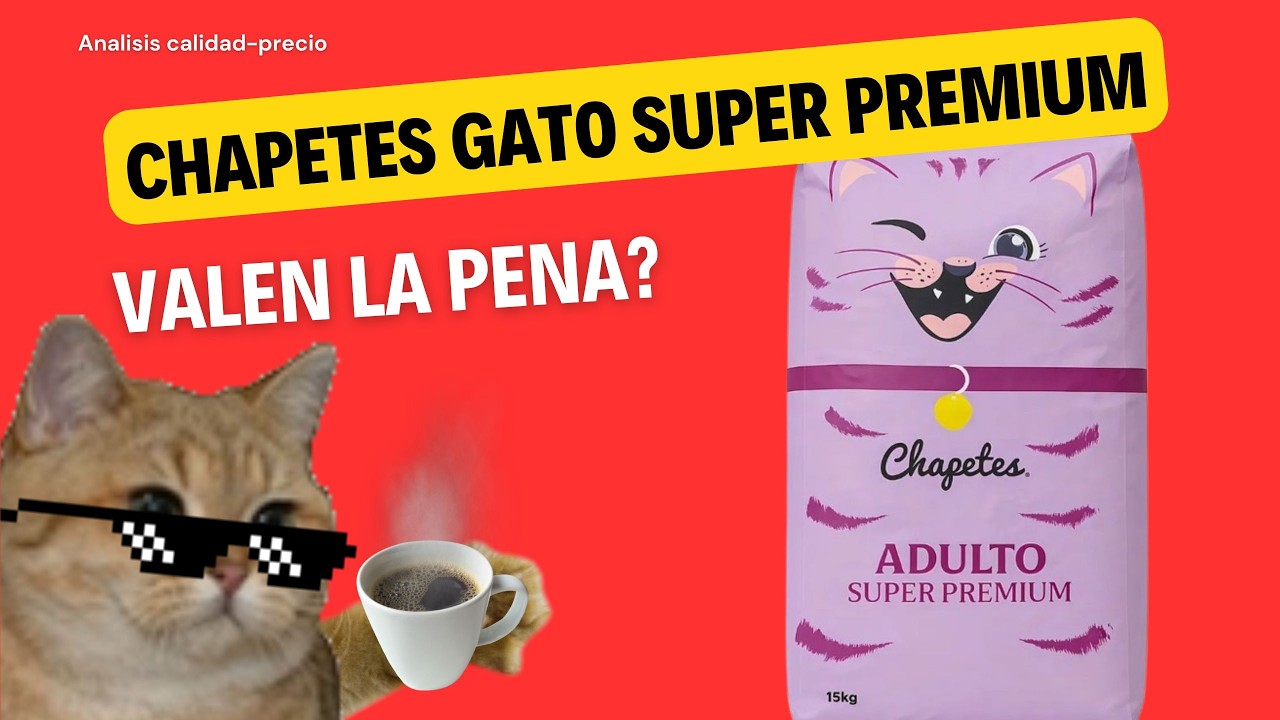 Análisis de alimento para Gato: Chapetes Gato Super Premium