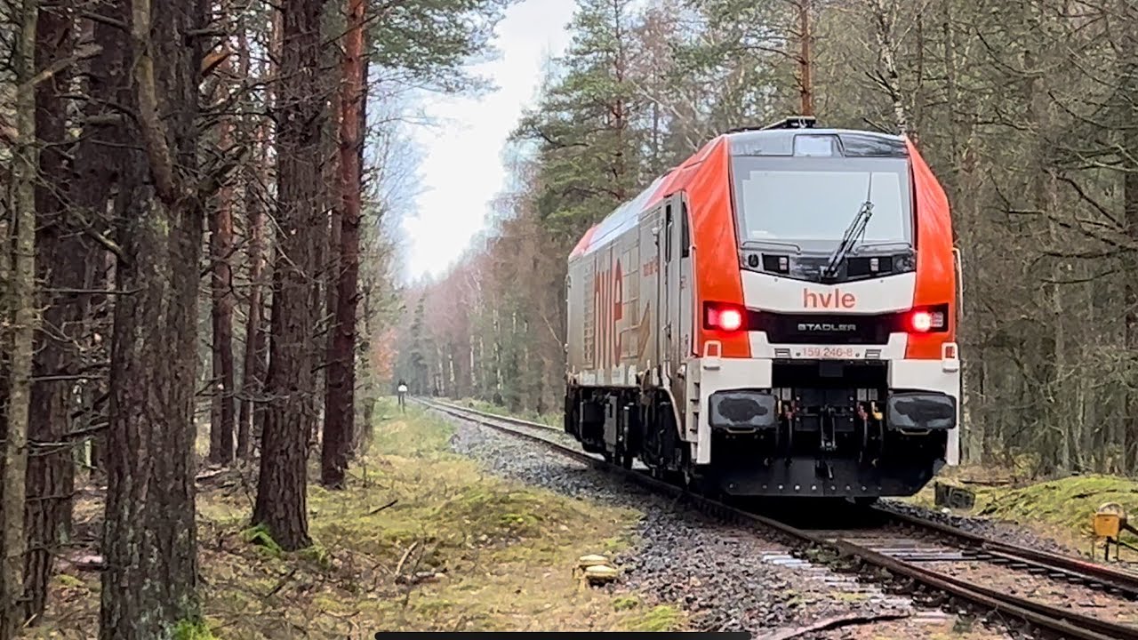OHE / LACHTETALBAHN / SInON / HVLE / Stadler EuroDual / Groß Oesingen / Mahrenholz / 159 246-8