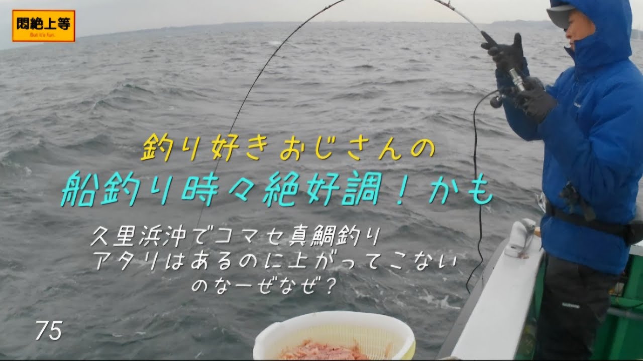 2026年3月16日 久里浜沖でコマセ真鯛釣り。フグ被害の次は......。反応バッチリ良い日っぽいに当たったみたいでしたがなかなか船に上がって来ない日でした(涙)  #コマセ真鯛 #一義丸  