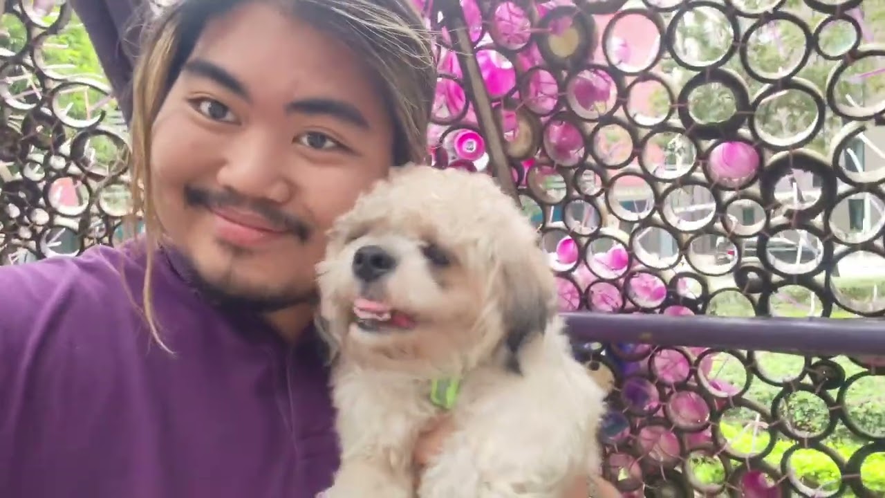 Buzky the Shih Tzu and I went to see the BGC Portal | ZechaeVlogs #24