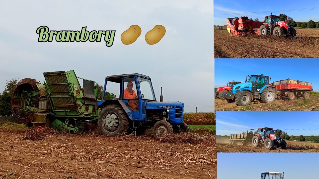 Brambory 2021[ potatoe, картофель] Zetor 3011 & Hagedorn, 3x McCormick & GRIMME, Landini