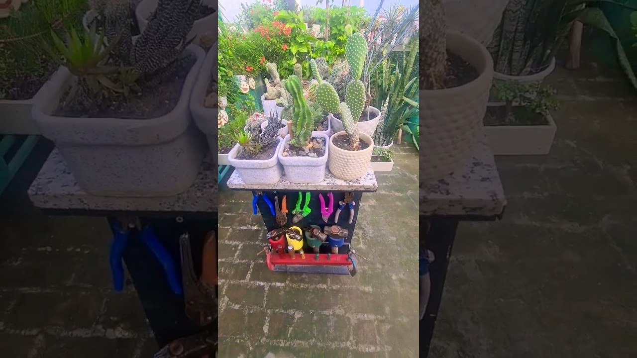 tools organising with cactus #shortsfeed #diy #cactus