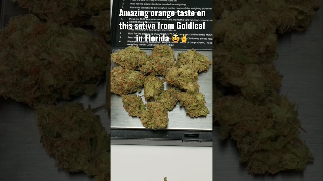 FIRE SATIVA ALERT! Cascade Orange 🍊 The new Florida dispensary, GOLDLEAF's citrus strain! #shorts