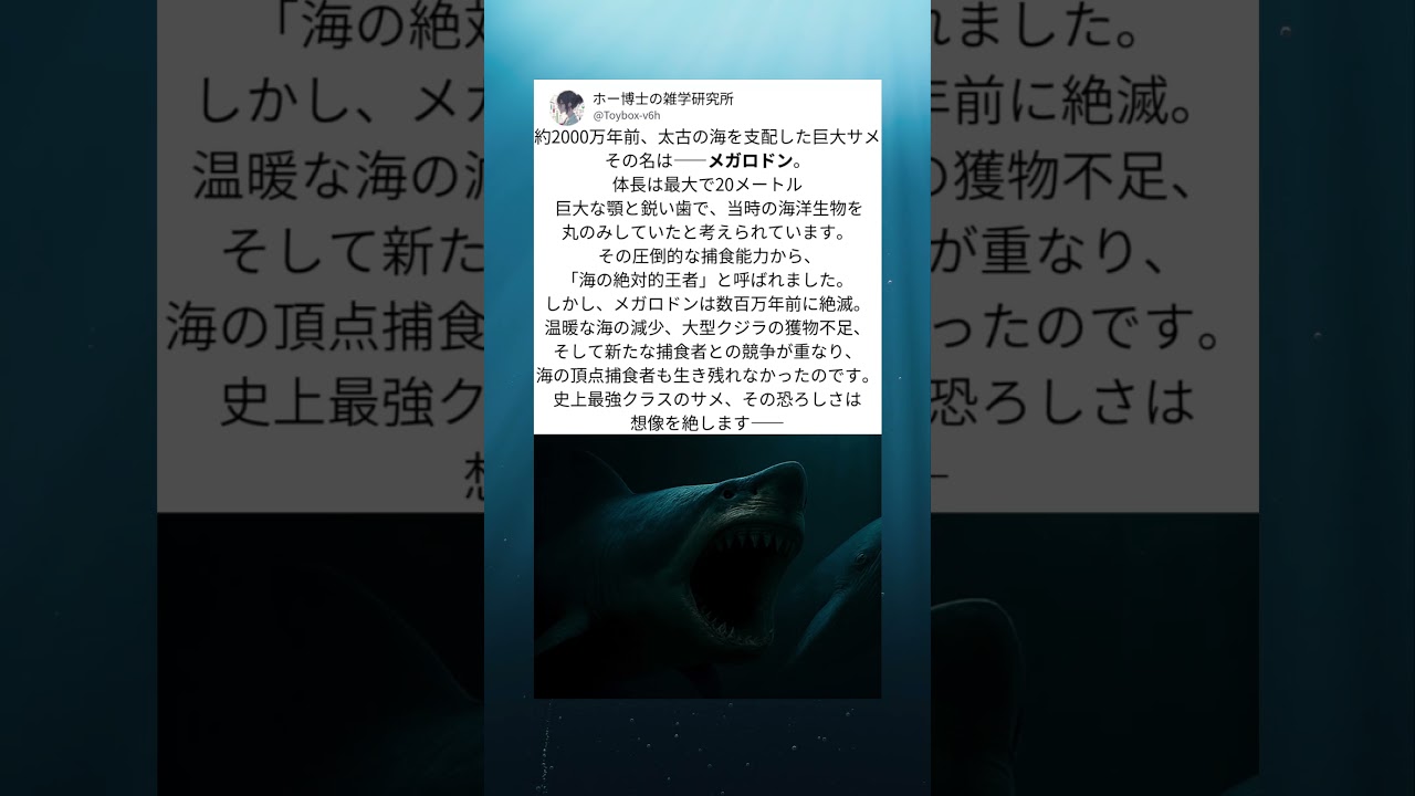 史上最強サメ・メガロドンの恐怖！絶滅した海の王者