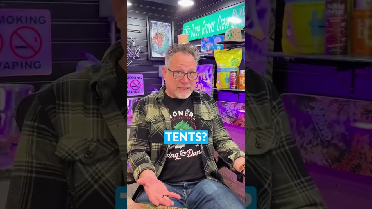 Вкус, выход продукта, эффект... выбирайте осознанно, а не по трендам.