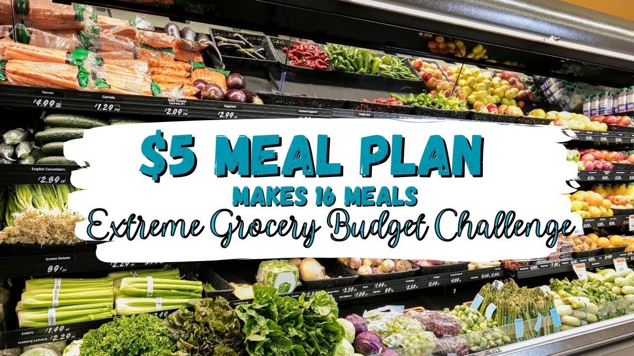 $5 EXTREME EMERGENCY BUDGET CHALLENGE | $5 Meal Plan | BREAKFAST, LUNCH & DINNER