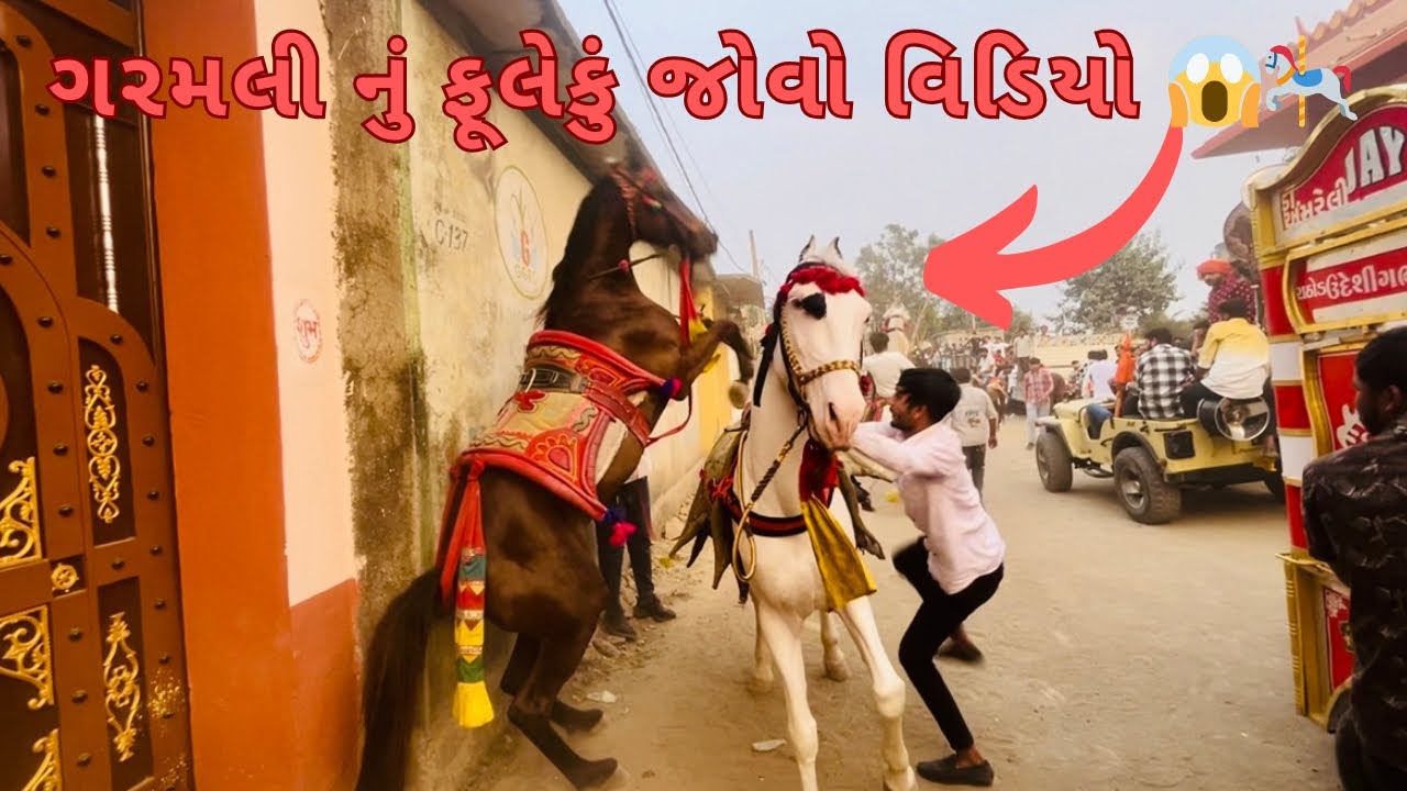 ગરમલી નું ફુલેકું જોવો વિડિયો ?😱🎠