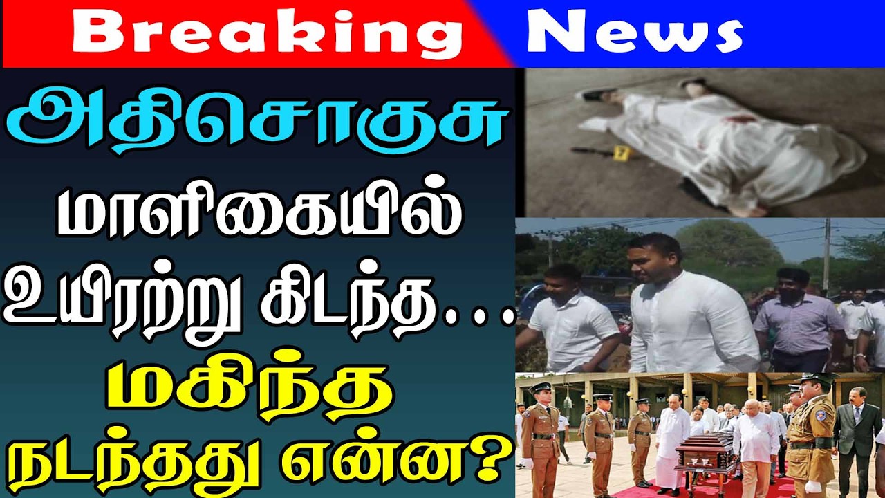 இரவுநேரச்செய்திகள் | 20.02.2026| Night time News 📰 |