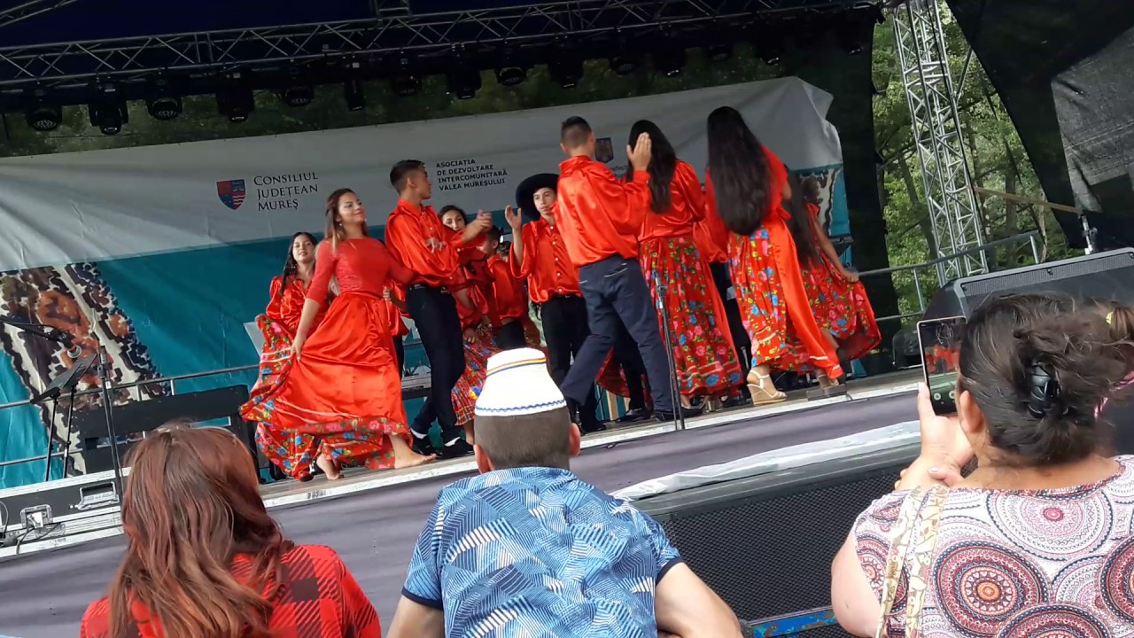 Dansatori din Petelea