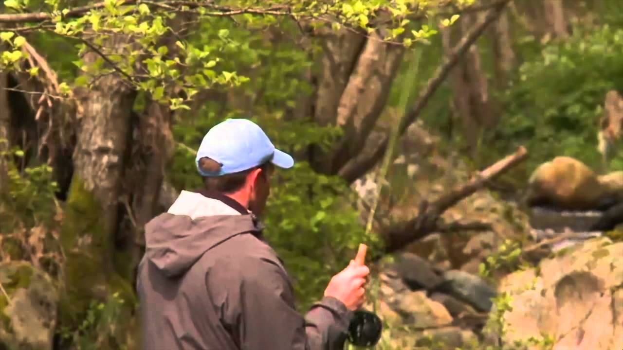 Thierry Millot Guide de p&ecirc;che 