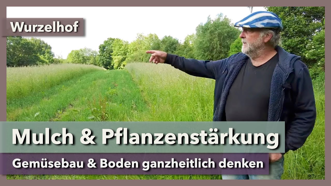 Mulch, Pflanzenstärkung & Zwischenfrüchte im Profi-Gemüsebau | Wurzelhof | Teil 3 | 2024
