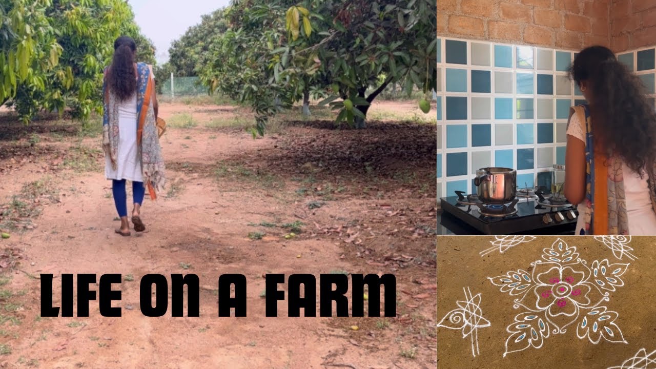 Life on a farm||simple living|| ఫామ్‌లో harvest చేసిన కూరగాయలు॥swing fit చేసాము