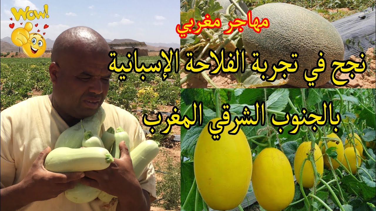 مهاجر مغربي ينجح في تجربة الفلاحة الاسبانية بالجنوب الشرقي المغربي