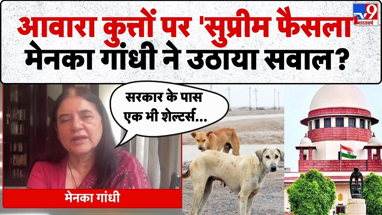 Supreme Court Order on Stray Dogs:आवारा कुत्तों पर 'सुप्रीम फैसला', Maneka Gandhi ने उठाया सवाल?-TV9