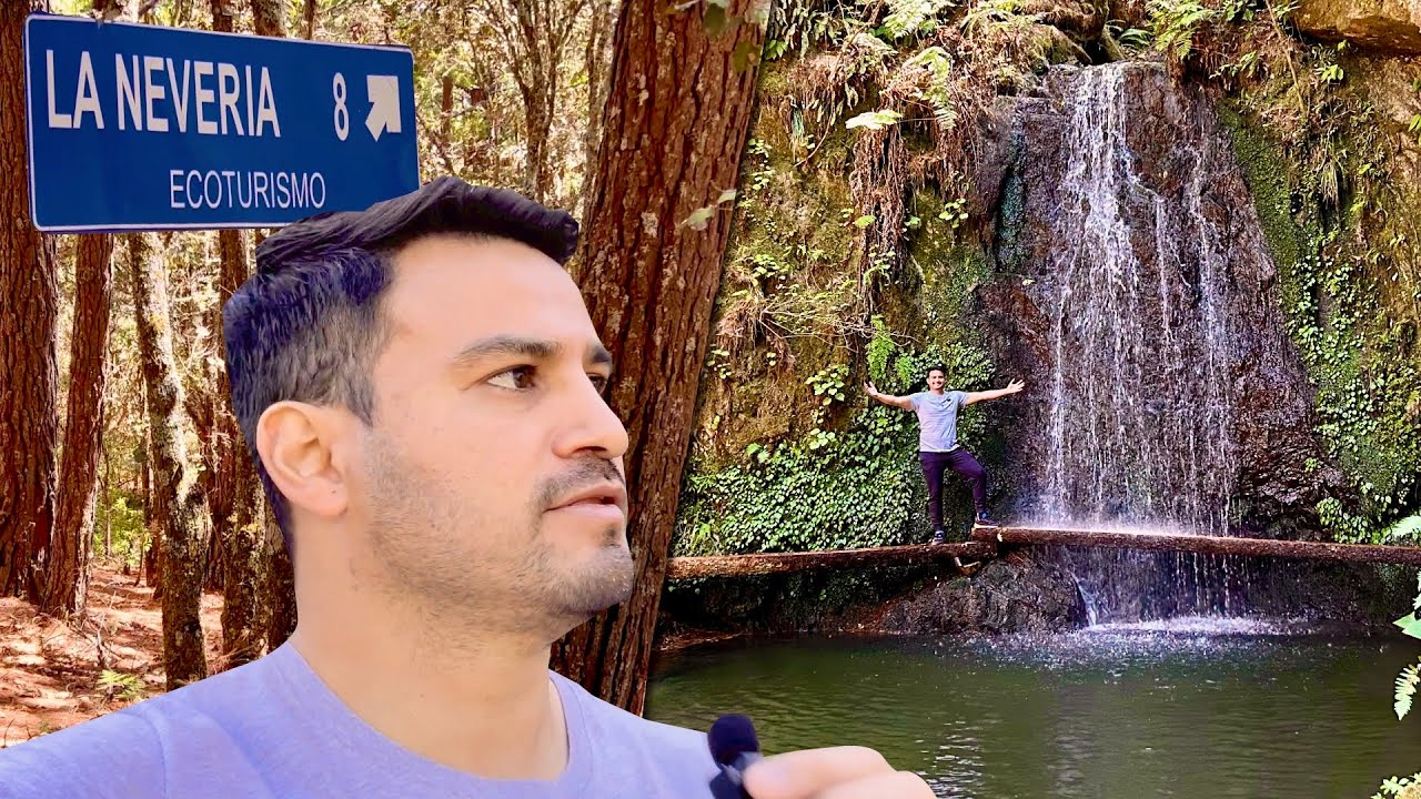 Bosque fantástico en La Nevería Oaxaca 