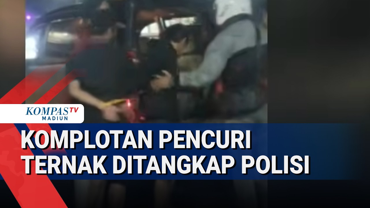 5 Pelaku Komplotan Pencuri Hewan Ternak Ditangkap di Lumajang, Polisi Sita Senjata Tajam