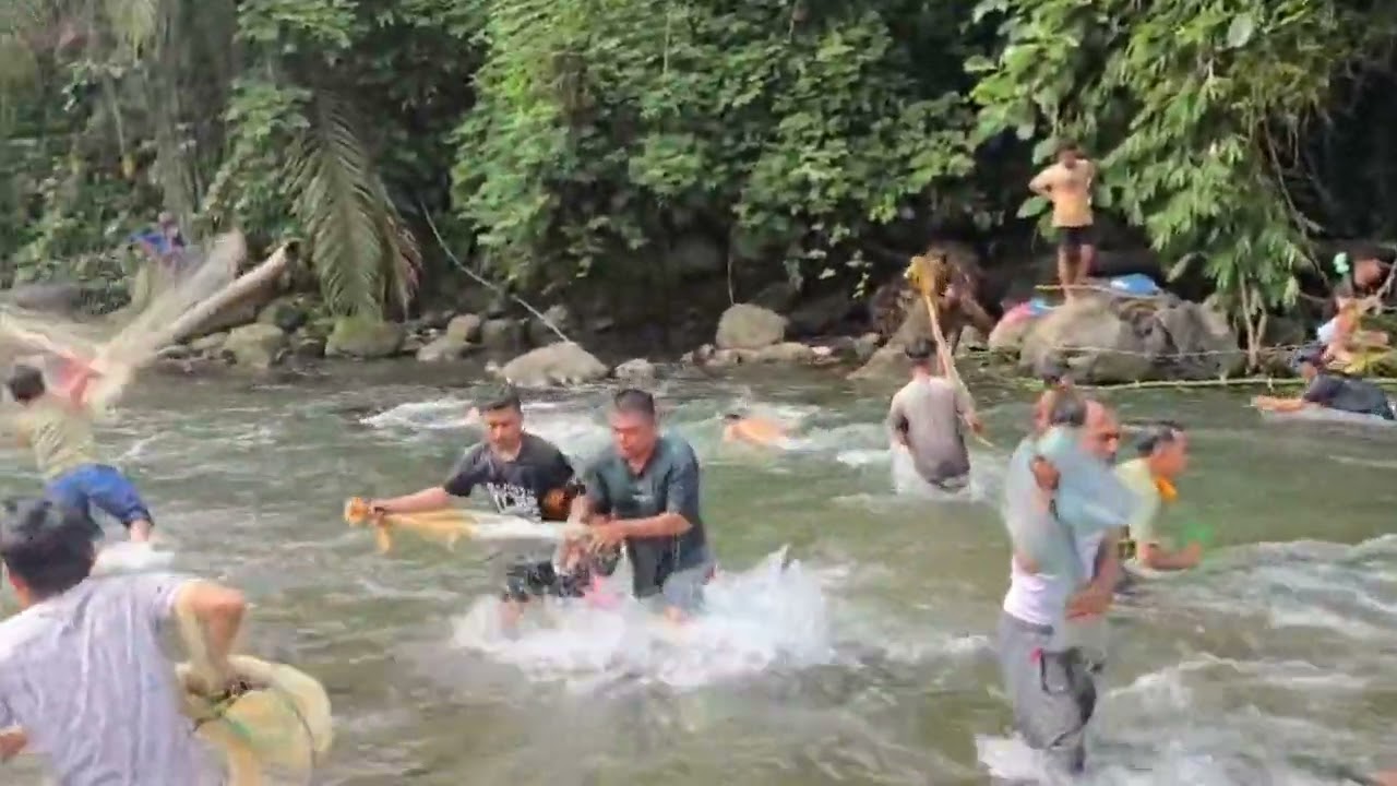 Tradisi Pembongkaran Ikan Larangan di Garagahan, Lubuk Basung, Agam