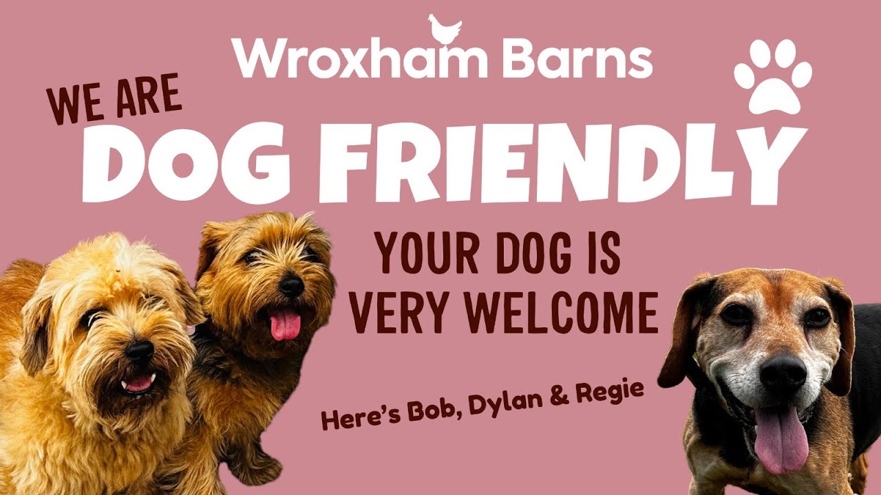 Bringing your dog to Wroxham Barns...