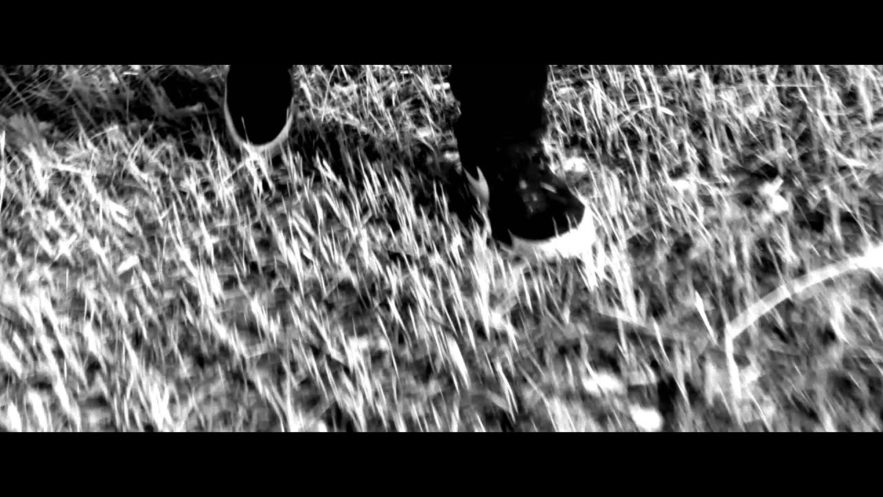 DJ Baryonyx - Reborn (Ft.Shaun) (Official Video) HD