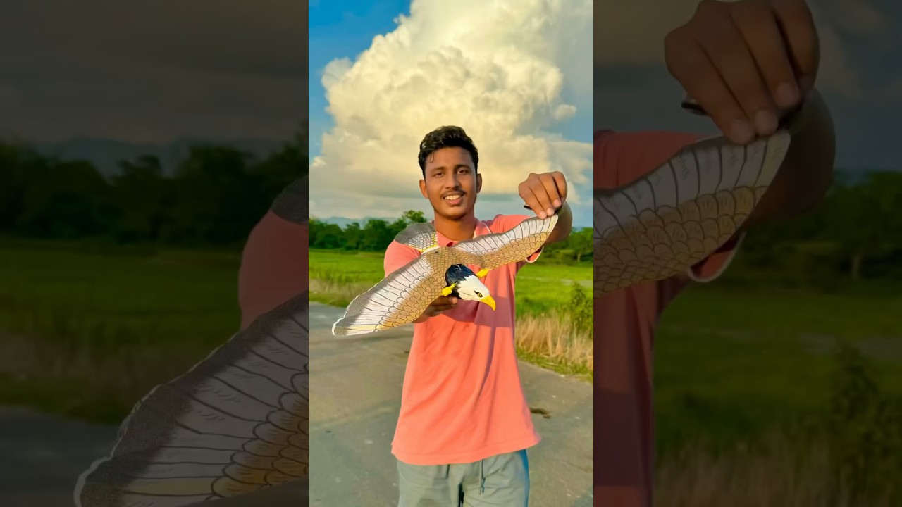 New model rc bird unboxing and testing