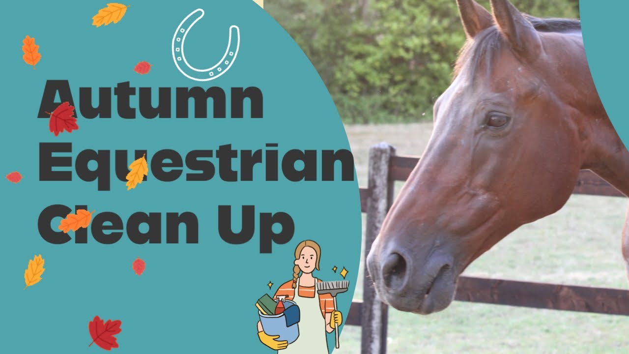 TACKROOM TIDY | EQUESTRIAN AUTUMN CLEAN UP + Aims & Goals
