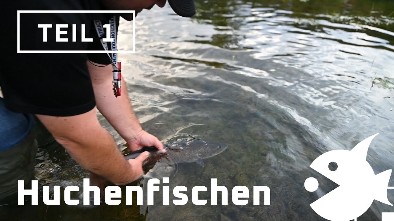 Huchen Teil 1 Mission Una mit Wobbler und Gummifisch FPS mit Angelrute Bonecrusher - Fishingprofi