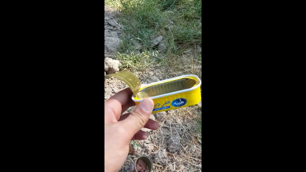طريقة محاربة الدبور الاحمر