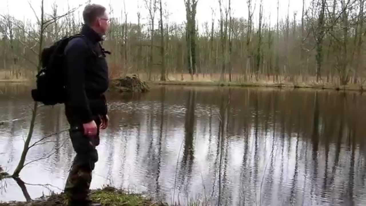 Mark im MansholterHolz 05.03.2015