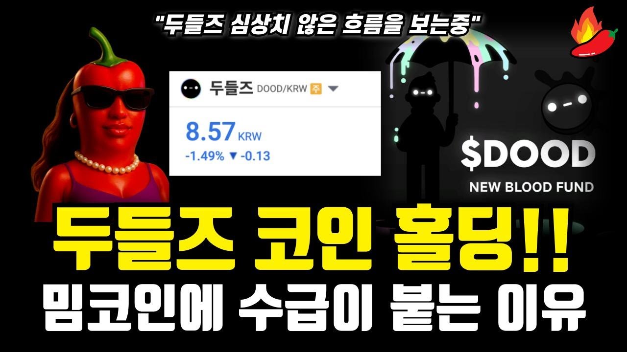 두들즈 수급이 붙기 시작했다 홀딩 구간에서 벌어지는 이상한 움직임 #두들즈 #두들즈분석