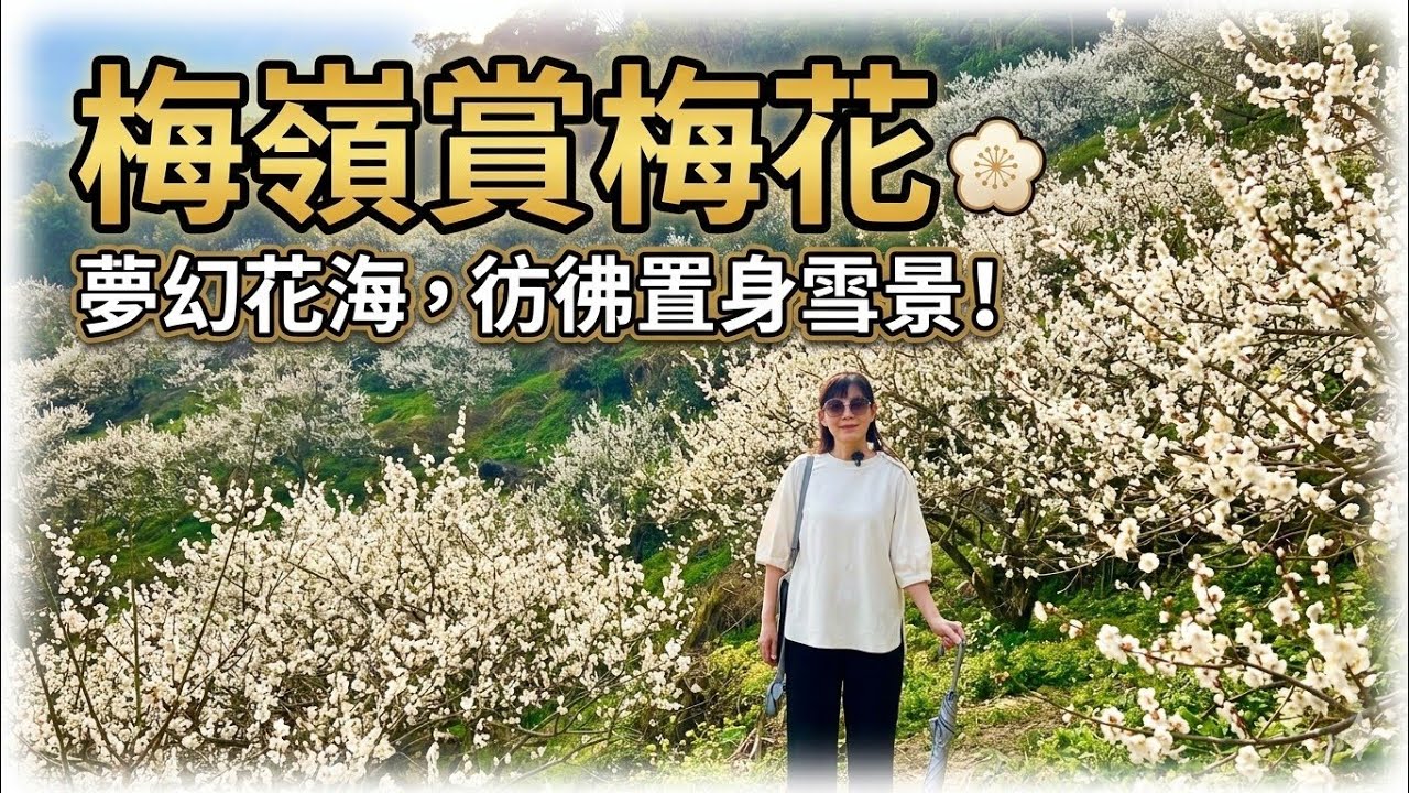 【台南  梅嶺賞梅】觀音步道  梅峰古道  伍龍步道1月17日最新花況介紹|鬼斧神工蝙蝠洞