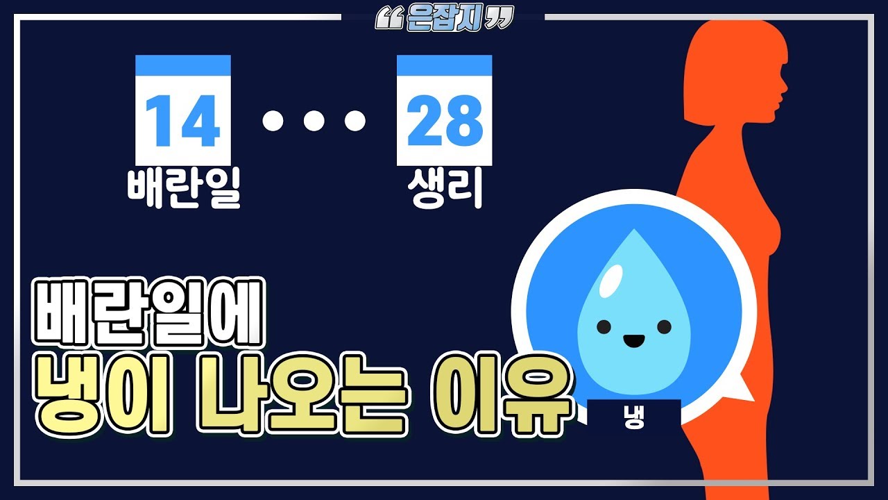 배란일(배란기)에 냉이 많이 나오는 이유와 냉의 역할