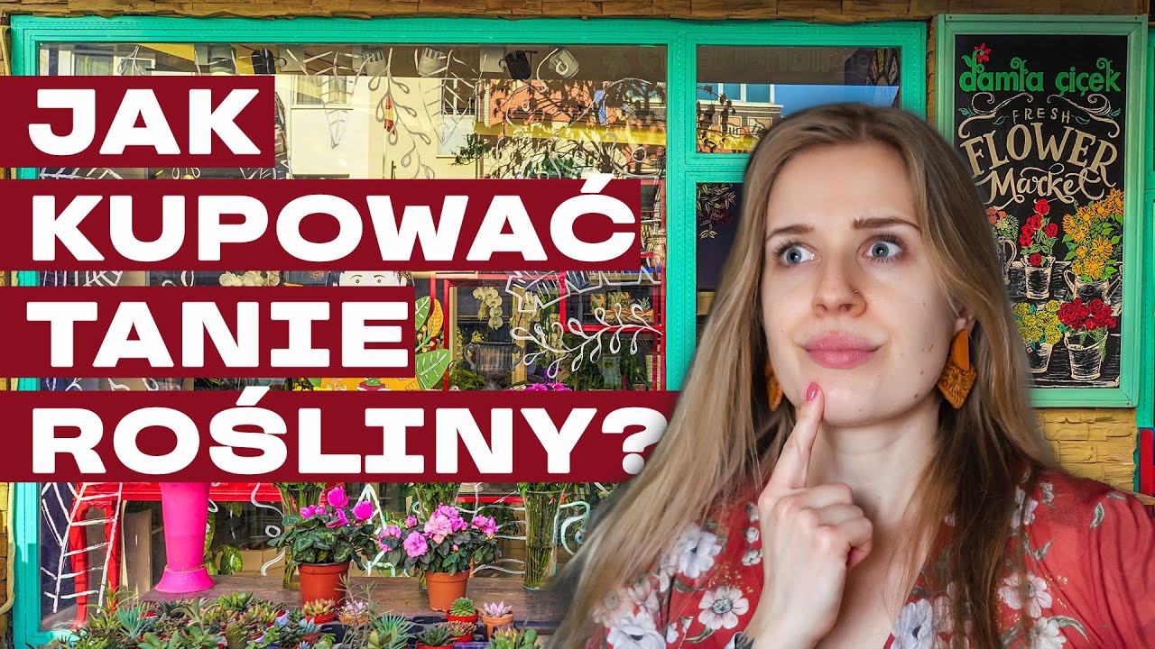 🌷 Odkryj tanie rośliny | 5 porad | zakupy online