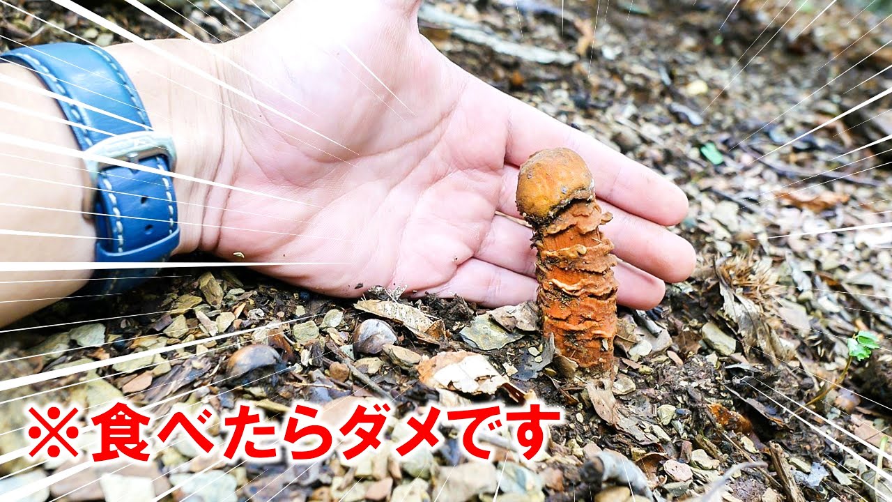 「タケリタケ」が完全にアウトすぎる
