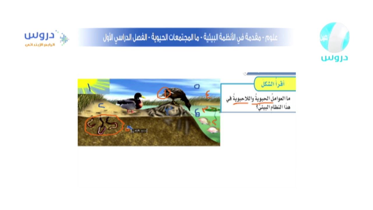 الرابع الابتدائي | الفصل الدراسي الأول | علوم | مقدمة في الأنظمة البيئية ما النظام البيئي