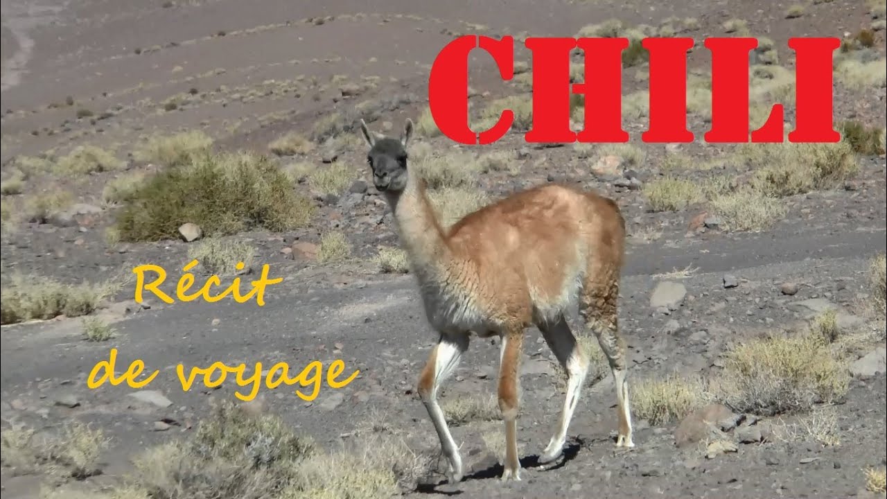 CHILI : Atacama, Patagonie - Récit de voyage