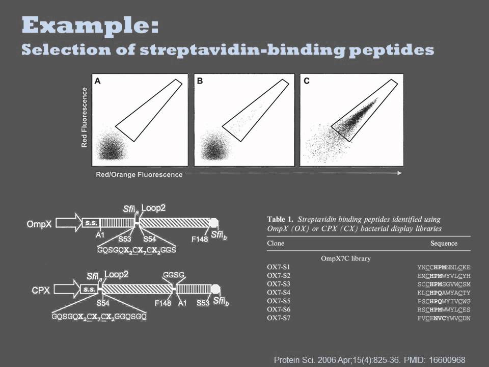 Selection Methods