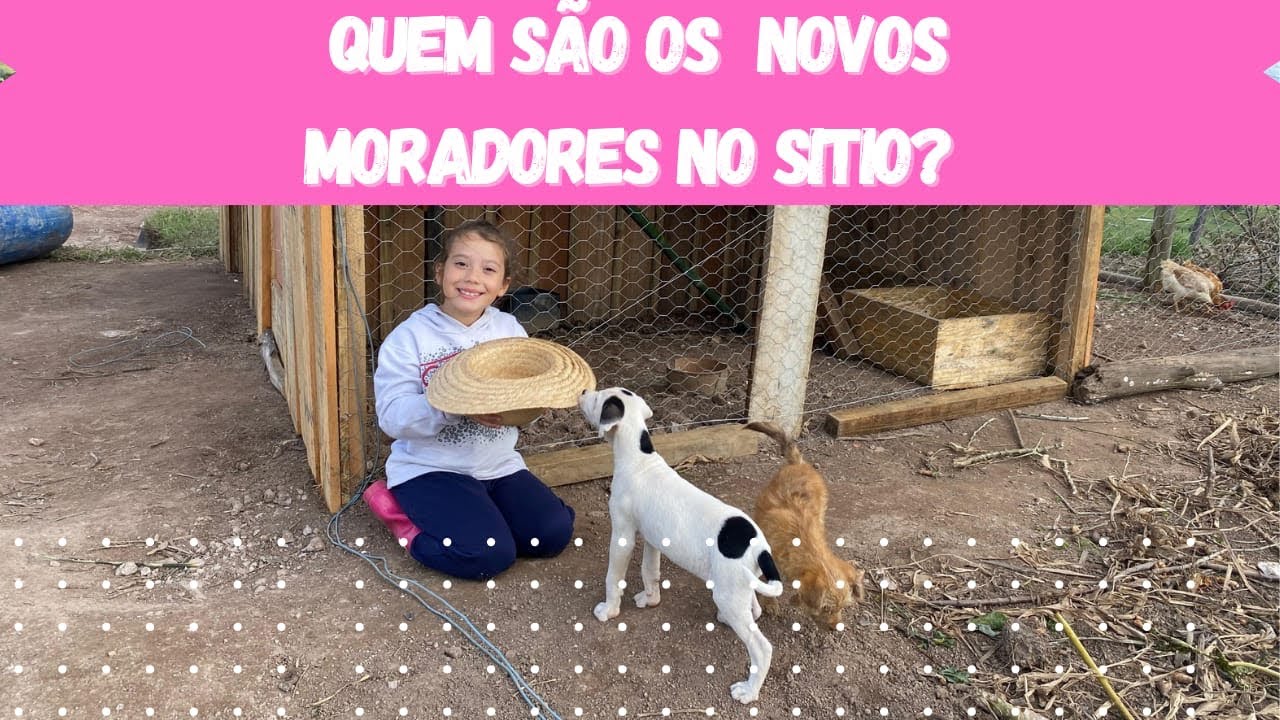 CONSTRUI UM GALINHEIRO EM APENAS DOIS DIAS
