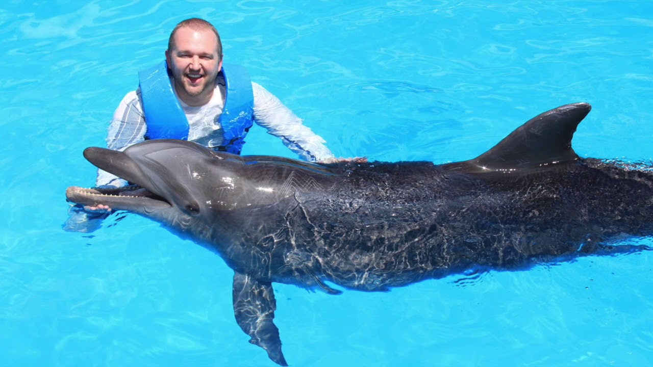 Interactive Aquarium Cancun Delphinus Swim with Dolphins in Cancun, Mexico on Friday, 03-23-2018