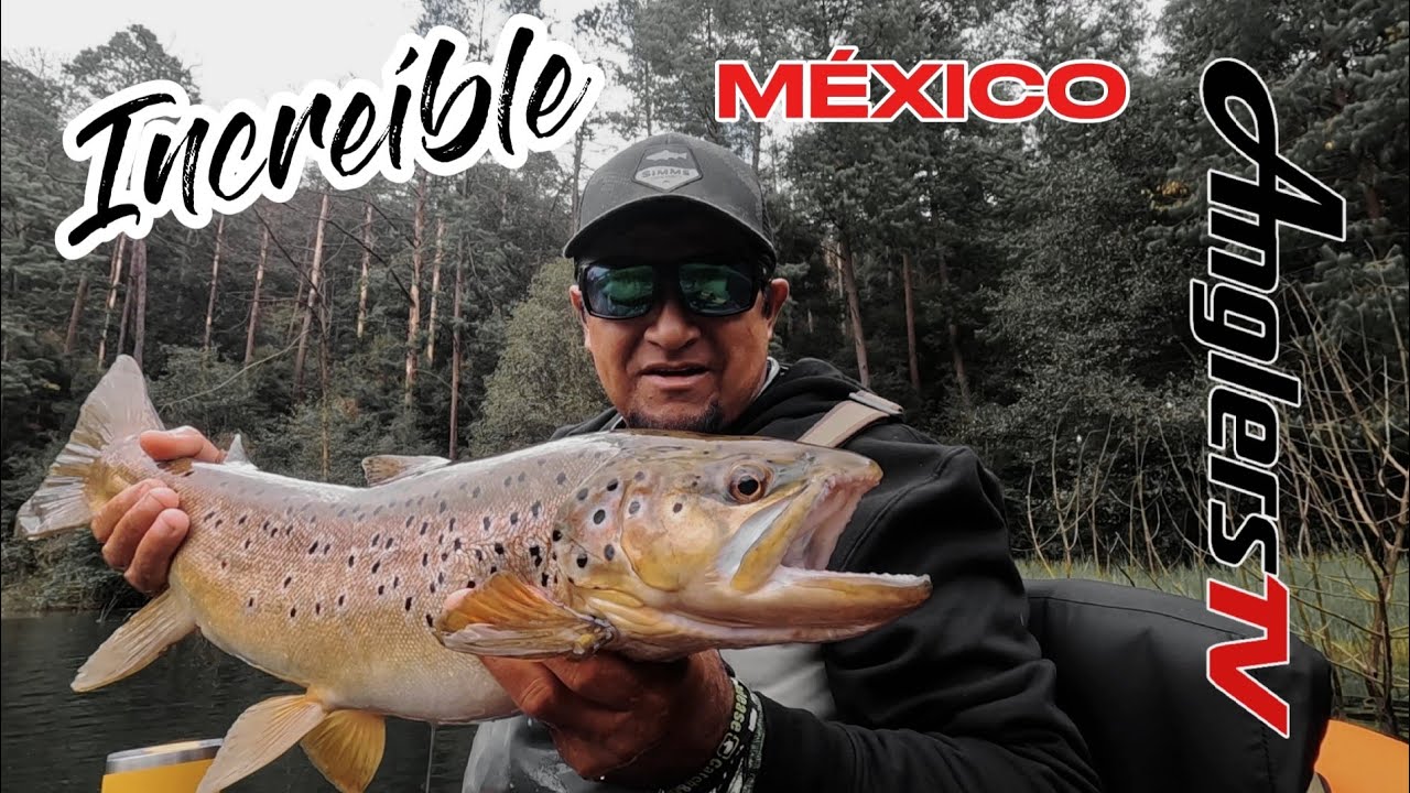 PESCA INCREÍBLE guiando y pescando TRUCHAS * Fly Fishing México * TS#44