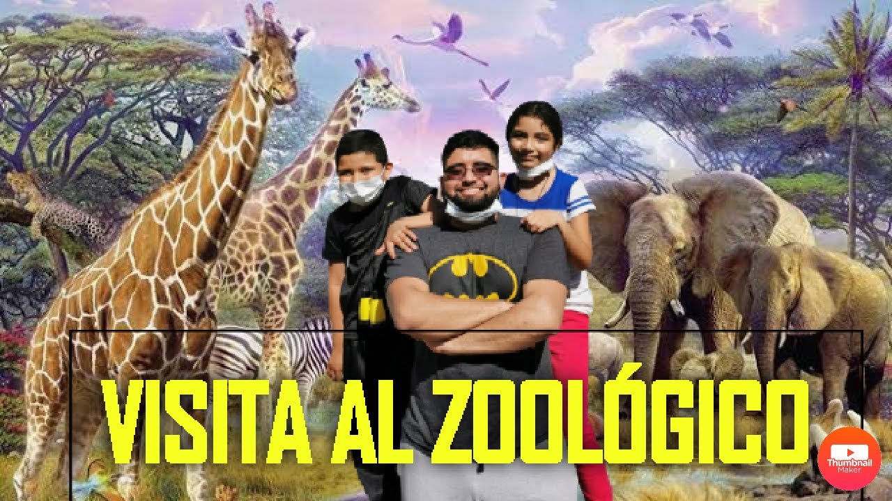 Maria Belem va al zoológico
