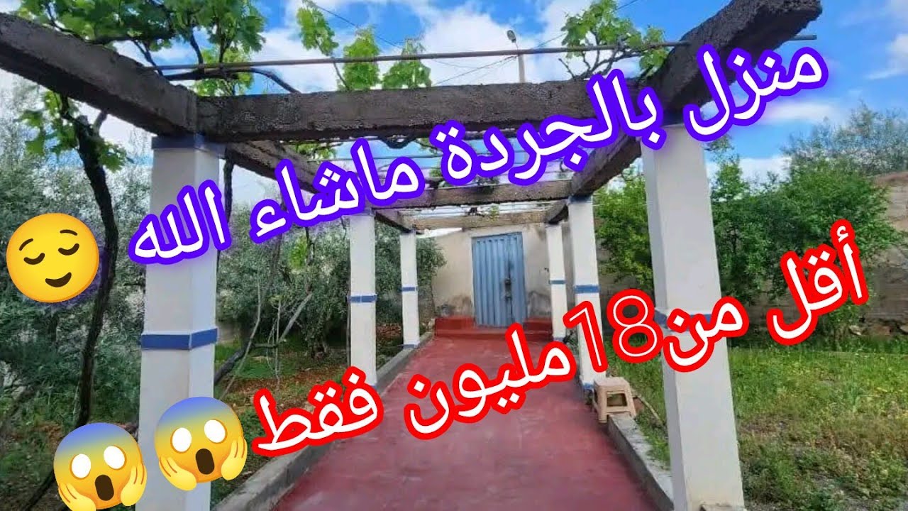 منزل بالجردو مغروسة زتون وأنواع أخرى أكثر من300متر 18مليون فقط 😱@عقارات الشيخ