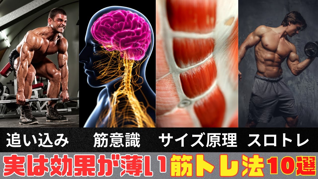 【筋トレ科学】実は効果が薄い筋トレ法10選　~筋力トレーニングの間違った知識～