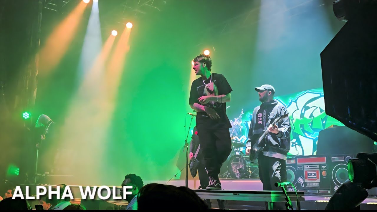 Alpha Wolf - 