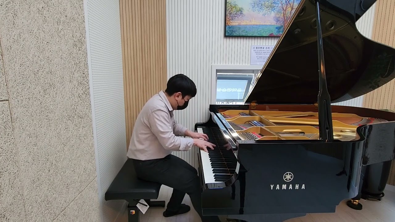 [클래식 30번째 곡] 취미생의 쇼팽 에튀드 "혁명" | Chopin Etude Op.10 No.12 | (연주: 이수빈)